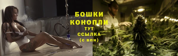 дживик Аркадак