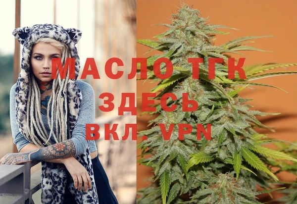 дживик Аркадак