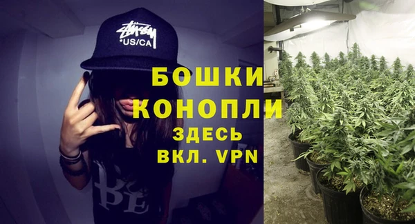 шишки Снежинск