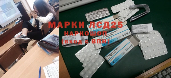 дживик Аркадак