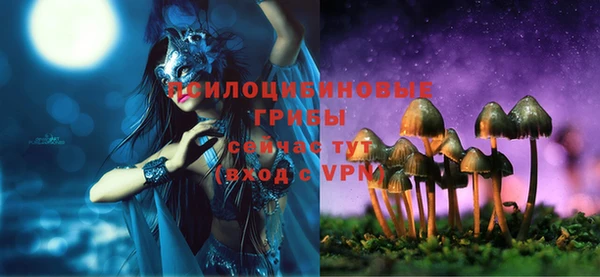 дживик Аркадак