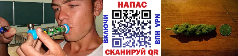Бошки марихуана гибрид  купить  цена  Дыгулыбгей 